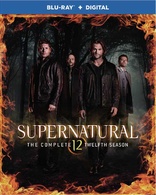 Supernatural: The Complete Twelfth Season Blu-ray