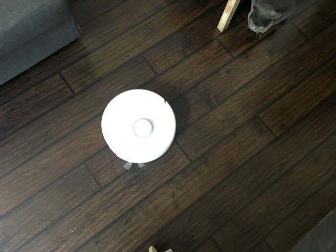 Cat vs best and worst robot vacuum cleaners 