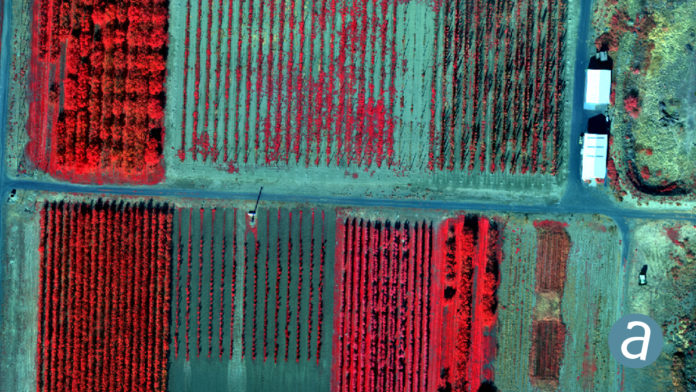 SimActive Releases Version 8.2 for Processing of Multispectral Imagery