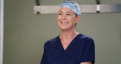 When will Season 17 of ‘Grey’s Anatomy’ be on Netflix?