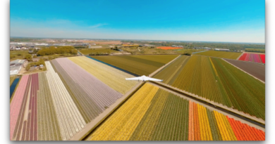 How Drones Are Changing the Food Industry
