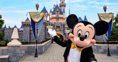 Small Group of Disneyland Employees Rally to Pressure California Governor Into Reopening Park