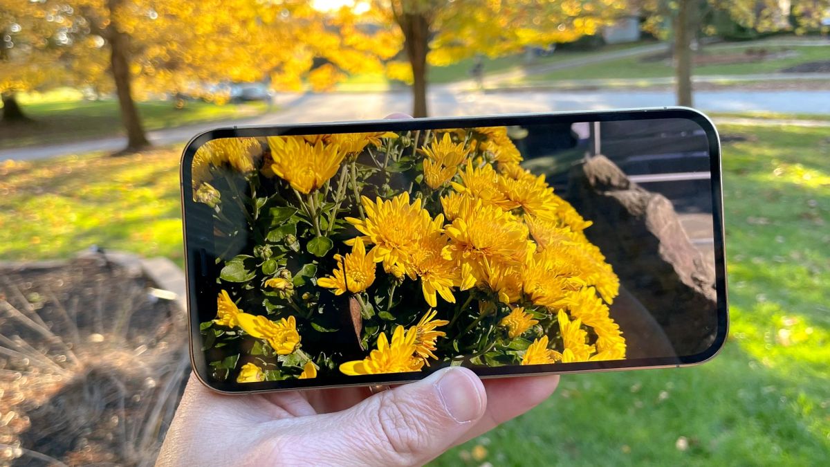 Best big phones of 2020: Top phablets 6 inches or larger