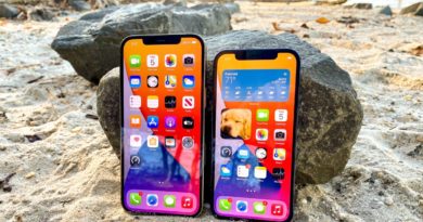 iPhone 12 Pro vs iPhone 12 Pro Max: What should you buy?